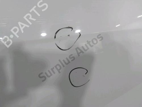 Right front door CITROËN C3 II (SC_) 1.4 HDi 70 (SC8HZC, SC8HR0, SC8HP4) | BP32153947C3