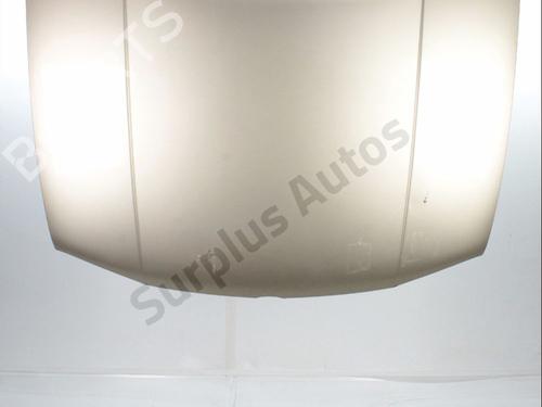 Used Hood Hood VW GOLF IV (1J1) 1.9 TDI (130 hp) 39706232 39706232