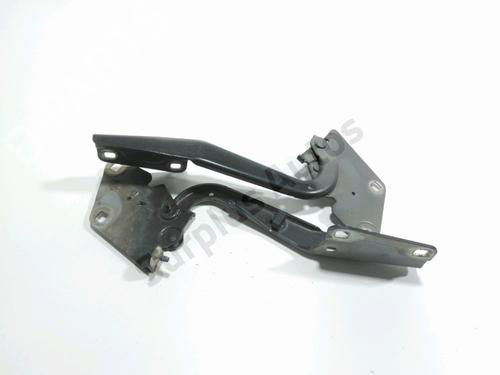 hingedoor-check-strap-renault-megane-iii-hatchback-bz01_-b3_-2008-30269262 main image