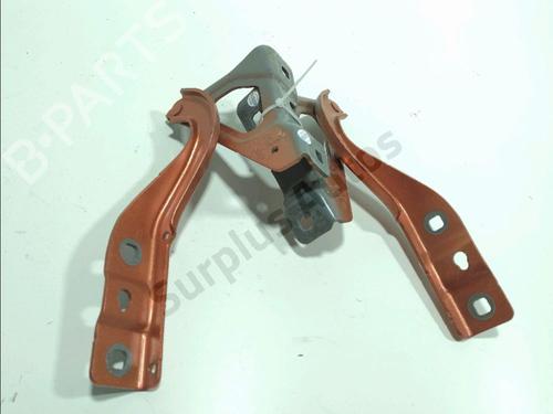 Hinge/Door check strap RENAULT CLIO V (B7_) 1.5 Blue dCi 100 (B7AD) | BP35719946C146 - Image 2