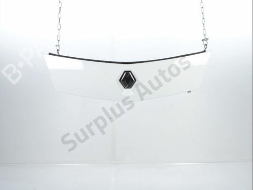 Grill RENAULT KANGOO / GRAND KANGOO II (KW0/1_) 1.5 dCi 90 (KW05, KW08, KW0G, KW11) (90 hp) 30723665