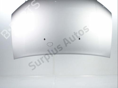 hood-dacia-sandero-ii-2012-32694530 main image