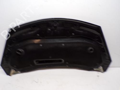 Hood RENAULT ESPACE IV (JK0/1_) 2.0 dCi (JK03, JK04, JK1C, JK1G, JK1J, JK1K) | BP28237016C1