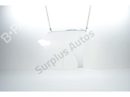Used Left front fenders RENAULT SCÉNIC III (JZ0/1_) 1.9 dCi (JZ0J, JZ1J, JZ1K, JZ1S) (131 hp) 28235994