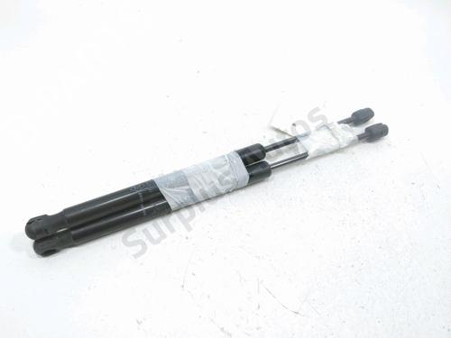 tailgate-lift-support-dacia-duster-hs_-2010-2011-2012-2013-2014-2015-2016-2017-2018-31001928 main image