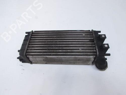 Intercooler PEUGEOT 3008 I MPV (0U_) 1.6 HDi | BP28220519M30 