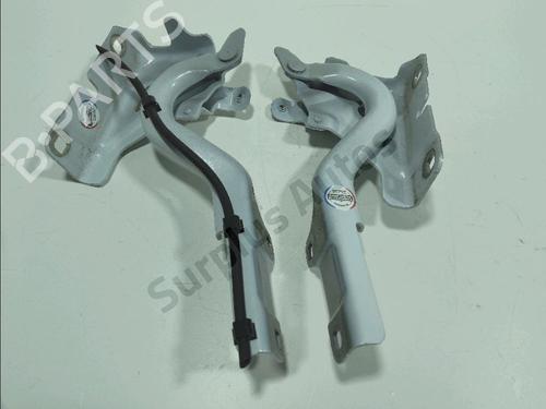 Used Hinge/Door check strap Hinge/Door check strap RENAULT SYMBIOZ 1.6 E-Tech 145 (143 hp) 36314653 36314653