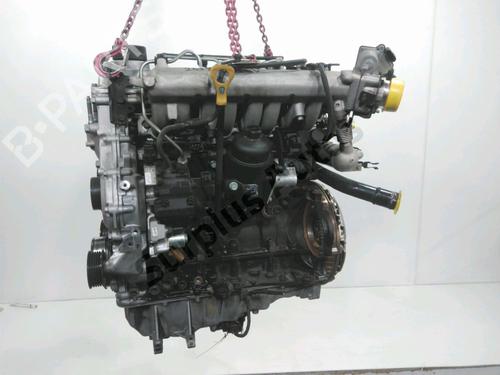 Engine KIA RIO III (UB) 1.4 CRDi | BP36550189M1 - Image 3