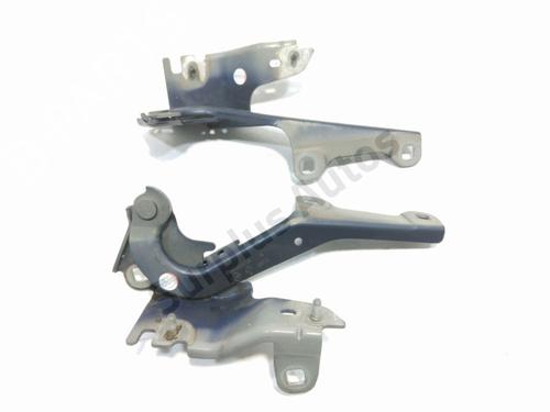 hingedoor-check-strap-renault-laguna-iii-bt01-2007-2008-2009-2010-2011-2012-2013-2014-2015-40059780 main image