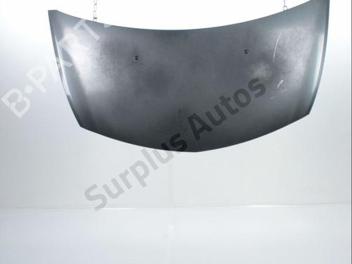 Used Hood RENAULT CLIO III (BR0/1, CR0/1) 1.5 dCi (C/BR0G, C/BR1G) (68 hp) 28237343