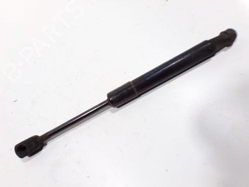 hood-lift-support-renault-scenic-iii-jz01_-2008-2009-2010-2011-2012-2013-2014-2015-2016-29857779 main image