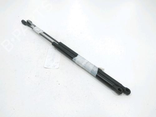 tailgate-lift-support-opel-meriva-a-mpv-x03-2003-2004-2005-2006-2007-2008-2009-2010-31001897 main image