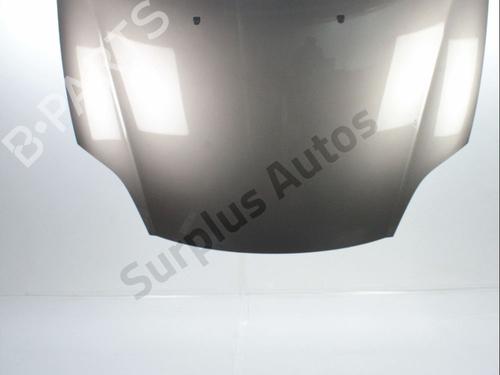 Used Hood FIAT BRAVO II (198_) 1.9 D Multijet (198AXB1A) (120 hp) 28237350