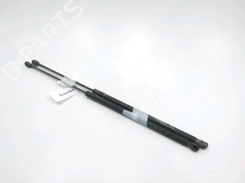 tailgate-lift-support-renault-megane-iii-coupe-dz01_-2008-2009-2010-2011-2012-2013-2014-2015-2016-31001871 main image