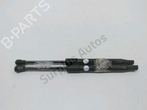 Gassdemper Bakluke SMART CITY-COUPE (450) 0.6 (S1CLA1, 450.341) (55 hp) 31002019