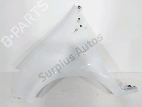Used Left front fenders RENAULT CLIO III (BR0/1, CR0/1) 1.5 dCi (75 hp) 32311028