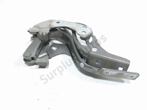 hingedoor-check-strap-fiat-500-c-312_-2009-37870671 main image