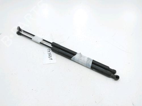 tailgate-lift-support-peugeot-207-sw-wk_-2007-2008-2009-2010-2011-2012-2013-31001890 main image