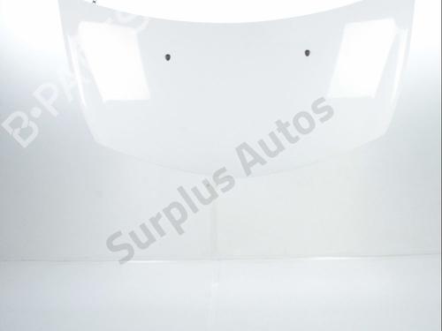 Used Hood RENAULT CLIO III (BR0/1, CR0/1) 1.5 dCi (75 hp) 28237264