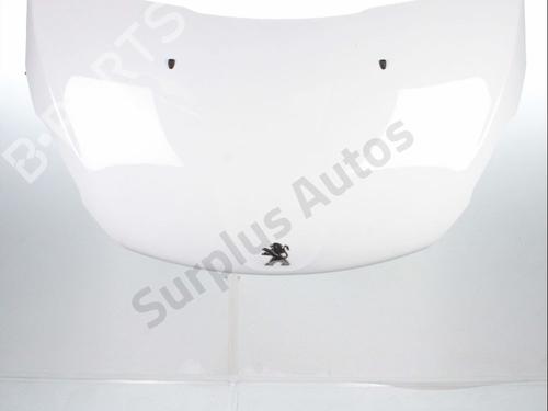 Used Hood Hood 38300684 38300684