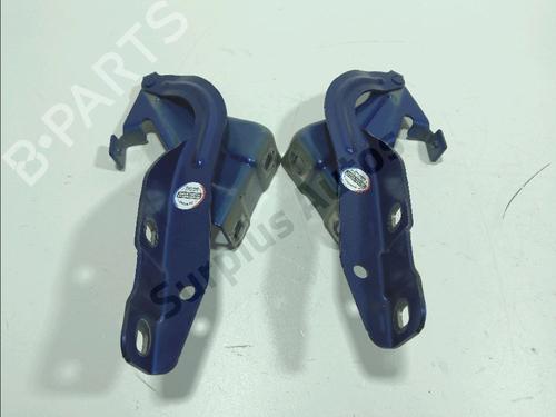 hingedoor-check-strap-renault-kadjar-ha_-hl_-2015-36374358 main image