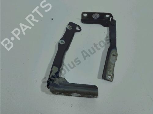 Used Hinge/Door check strap DACIA SANDERO 1.2 16V (75 hp) 30475277