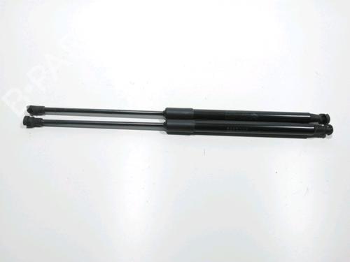 tailgate-lift-support-citroen-c3-iii-sx-2016-28261299 main image