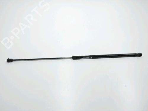 Used Hood lift support VW GOLF VII (5G1, BQ1, BE1, BE2) 1.6 TDI (105 hp) 28237732