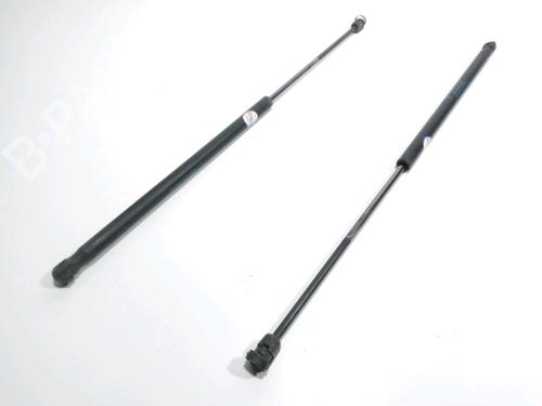 Used Tailgate lift support FORD FIESTA V (JH_, JD_) 1.3 (69 hp) 28261394