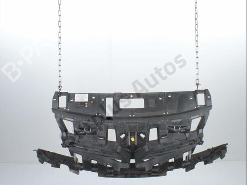 Used Grille Grille RENAULT SCÉNIC III (JZ0/1_) 1.6 dCi (JZ00, JZ12) (130 hp) 36464723 36464723