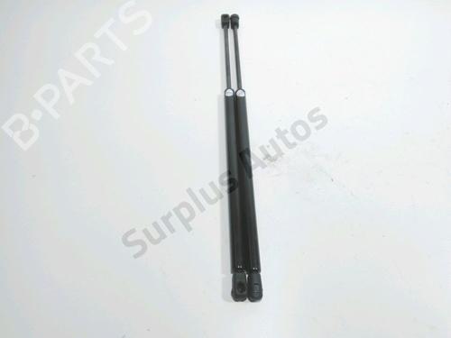 Used Tailgate lift support RENAULT SCÉNIC II (JM0/1_) 1.5 dCi (JM1E, JM16) (106 hp) 28261802