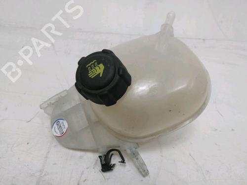 Ekpansionstank RENAULT TWINGO III (BCM_, BCA_) [2014-2026]  29857031