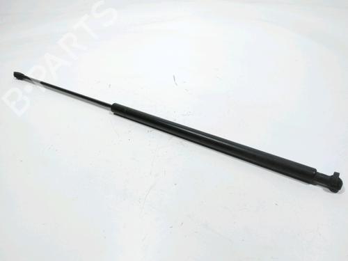 Used Hood lift support PEUGEOT 306 Hatchback (7A, 7C, N3, N5) 1.9 D (69 hp) 29857781