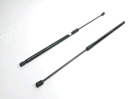 Used Tailgate lift support FORD C-MAX II (DXA/CB7, DXA/CEU) 1.0 EcoBoost (125 hp) 28261361
