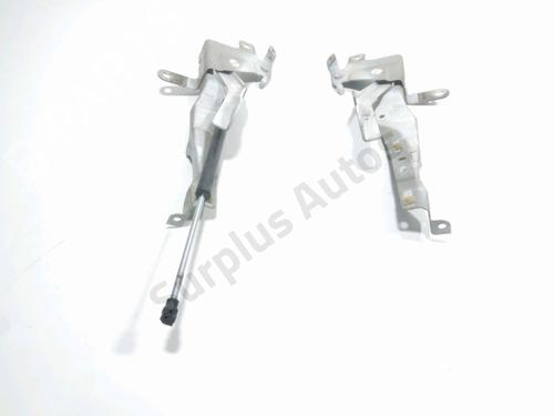 Used Hinge/Door check strap RENAULT CLIO IV (BH_) 1.5 dCi 75 (75 hp) 31822446