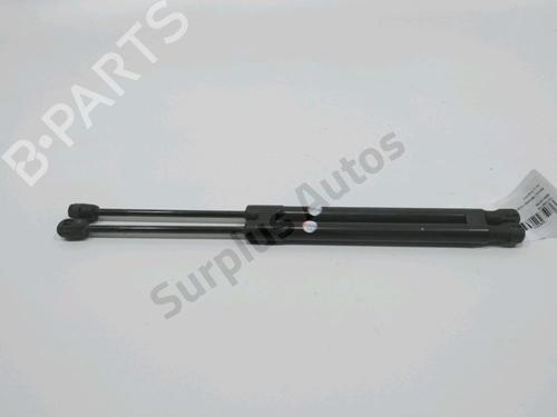 tailgate-lift-support-renault-megane-iii-hatchback-bz01_-b3_-2008-31001981 main image