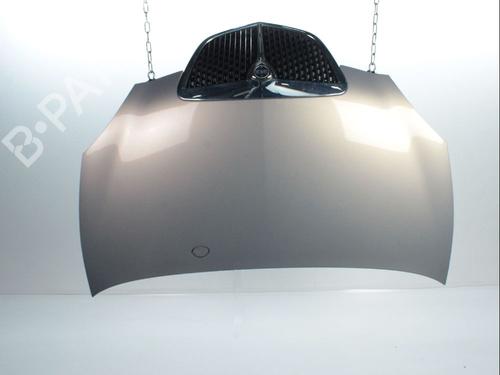 Used Hood LANCIA YPSILON (843_) 1.3 D Multijet (843.AXE11, 843.AXE1A) (90 hp) 28237116