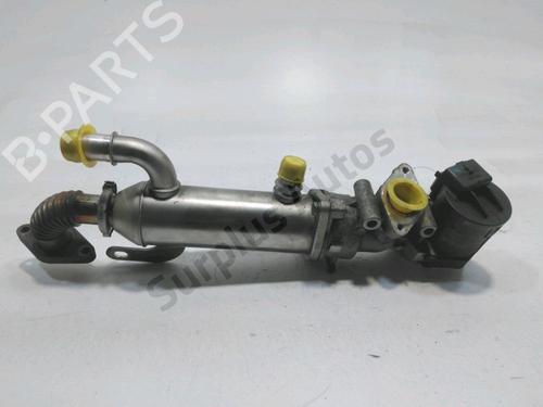 Egr PEUGEOT 308 CC (4B_) 2.0 HDi | BP30985175M69