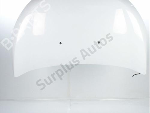 Used Hood Hood DACIA DOKKER MPV (KE_) 1.6 LPG (83 hp) 34115720 34115720