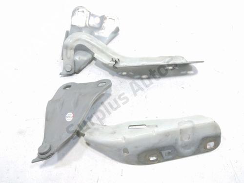 hingedoor-check-strap-renault-twingo-ii-cn0_-2007-40059790 main image