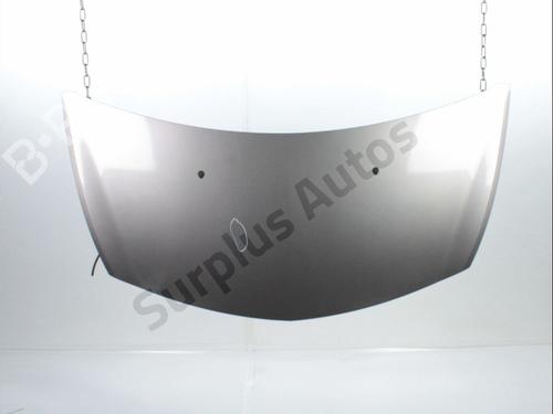 Used Hood RENAULT CLIO III Grandtour (KR0/1_) 1.2 16V (KR0P) (101 hp) 30450099