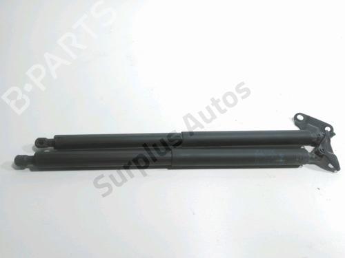 Used Tailgate lift support BMW X1 (F48) sDrive 18 d (150 hp) 30475452