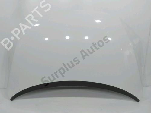 Motorhjelm Motorhjelm VW GOLF PLUS V (5M1, 521) 1.6 TDI (105 hp) 36183067 36183067