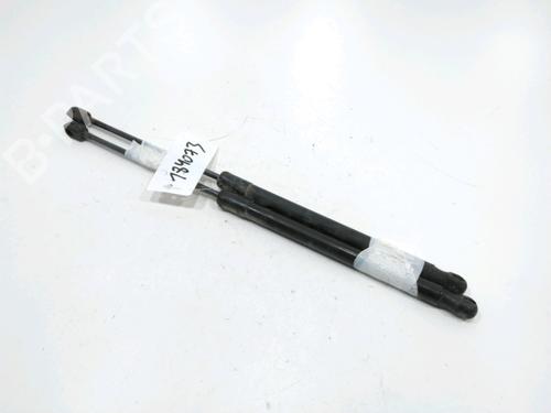 Used Tailgate lift support AUDI A4 B8 Avant (8K5) 2.7 TDI (190 hp) 31001839
