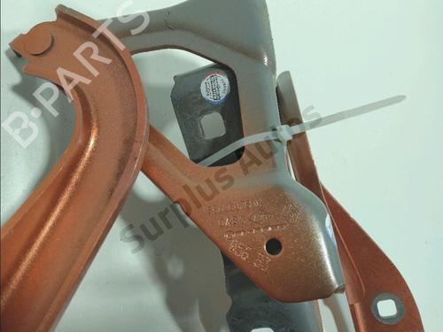 Hinge/Door check strap RENAULT CLIO V (B7_) 1.5 Blue dCi 100 (B7AD) | BP35719946C146 - Image 3
