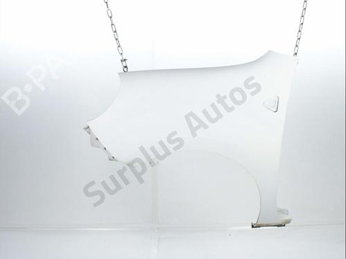 left-front-fenders-renault-kangoo-express-fw01_-2008-33949843 main image