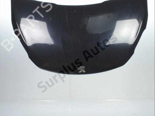 Used Hood Hood PEUGEOT 208 I (CA_, CC_) 1.6 HDi (92 hp) 36000220 36000220
