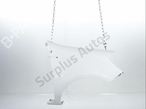 Used Right front fenders RENAULT CLIO III (BR0/1, CR0/1) 1.5 dCi (C/BR0G, C/BR1G) (68 hp) 32202741