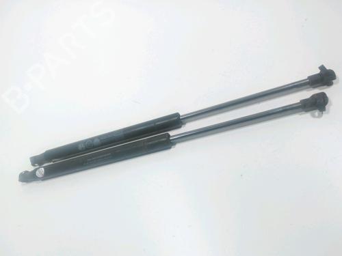 tailgate-lift-support-fiat-panda-312_-319_-2012-28261215 main image