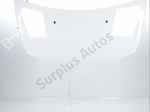 hood-renault-clio-iii-br01-cr01-2005-2006-2007-2008-2009-2010-2011-2012-2013-2014-33534429 main image